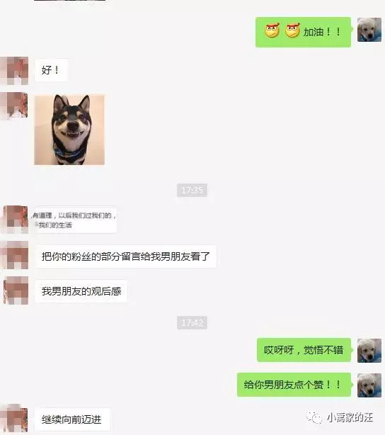 要结婚还是要养狗？找人算过命，狗跟男友相克，这都是什么鬼？