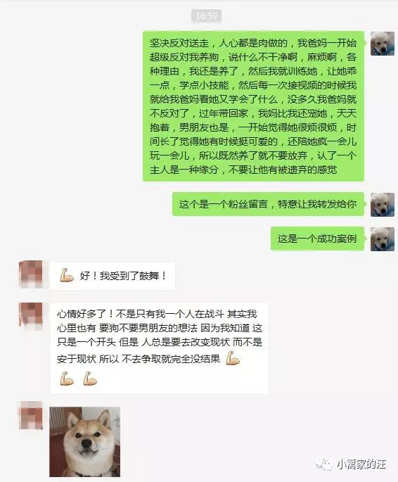 要结婚还是要养狗？找人算过命，狗跟男友相克，这都是什么鬼？