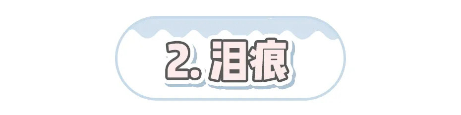 99%猫狗都会遇见这些小状况，屎官别再手忙脚乱啦！