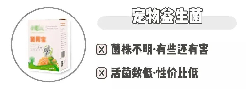 99%猫狗都会遇见这些小状况，屎官别再手忙脚乱啦！