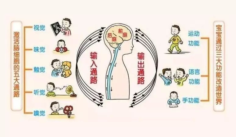 20个感统训练游戏，全面提升孩子各项学习力！