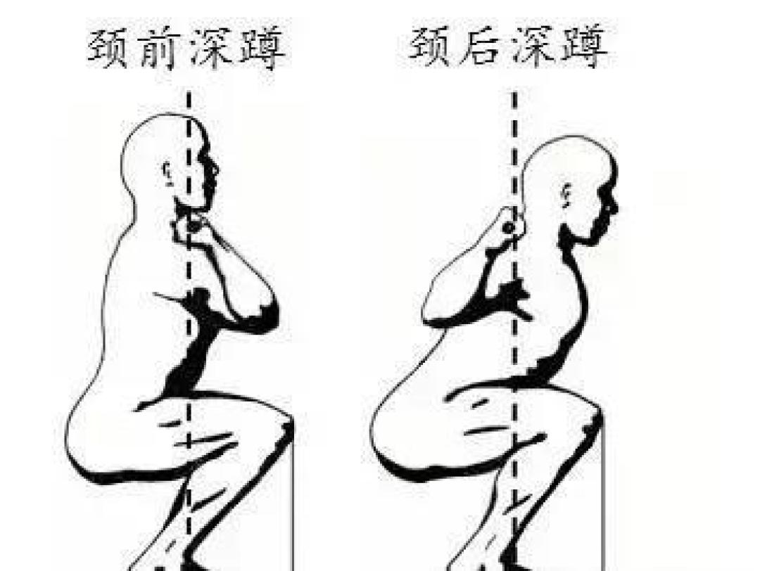 万能的深蹲,怎样做不伤腰?