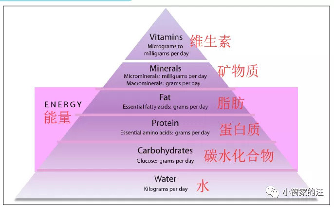 水！水！水！猫狗不会自己喝？用你管？！