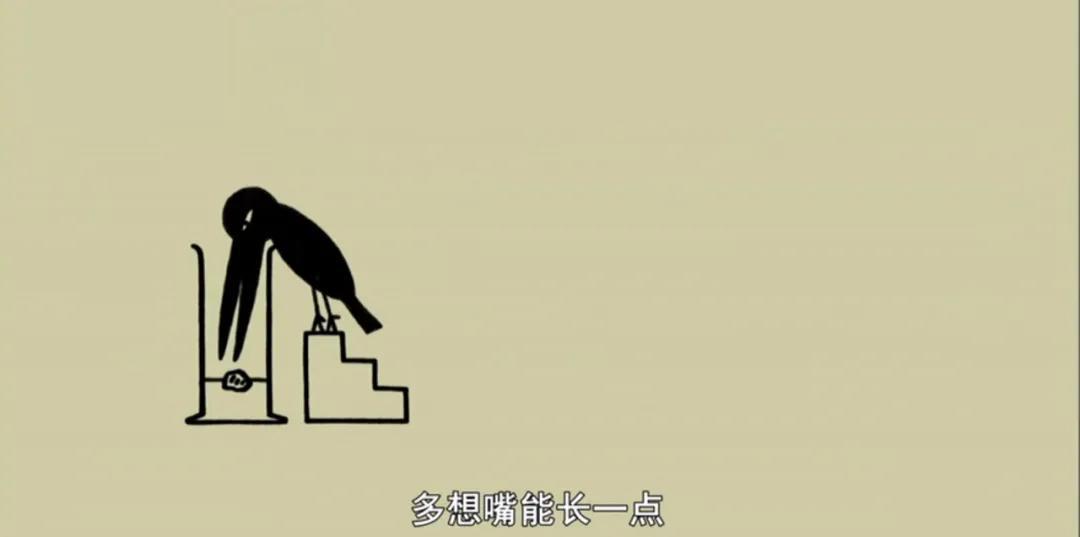 适合2-12岁娃!这8部优秀纪录片,在家也能涨知识(附收看链接)