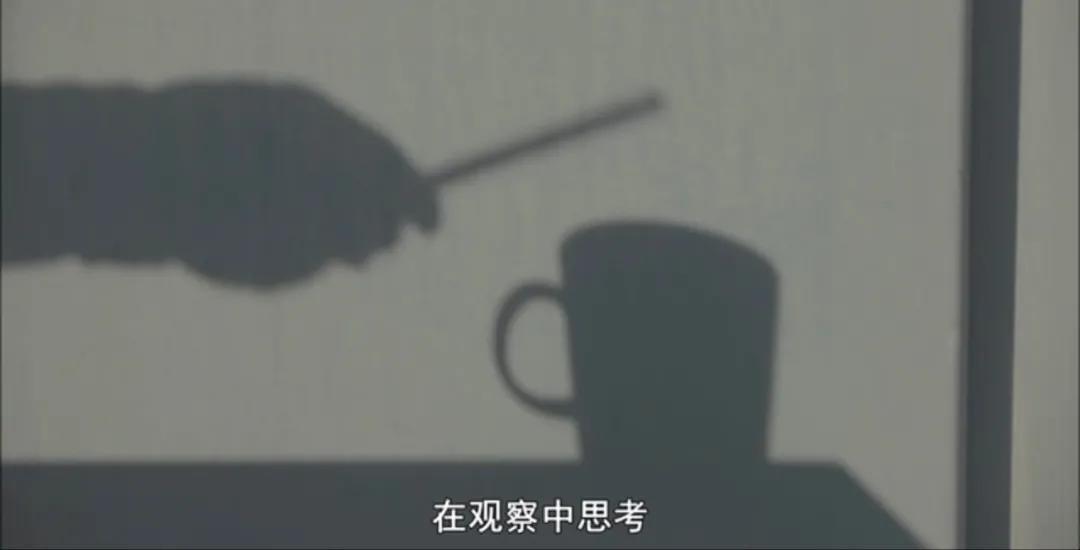 适合2-12岁娃!这8部优秀纪录片,在家也能涨知识(附收看链接)