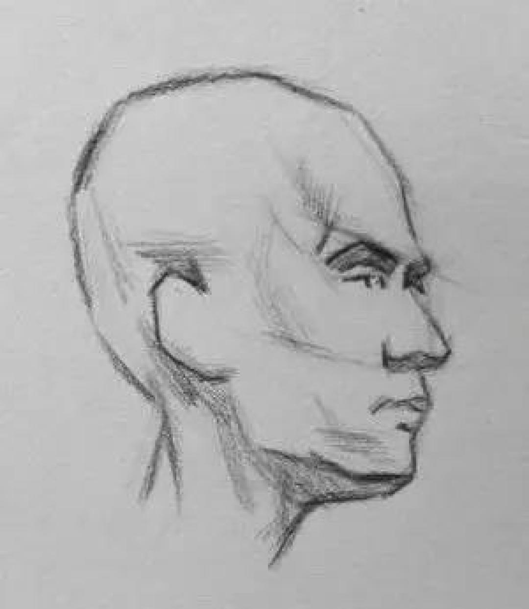 零基础上手,全面实用的素描头像绘画教程!