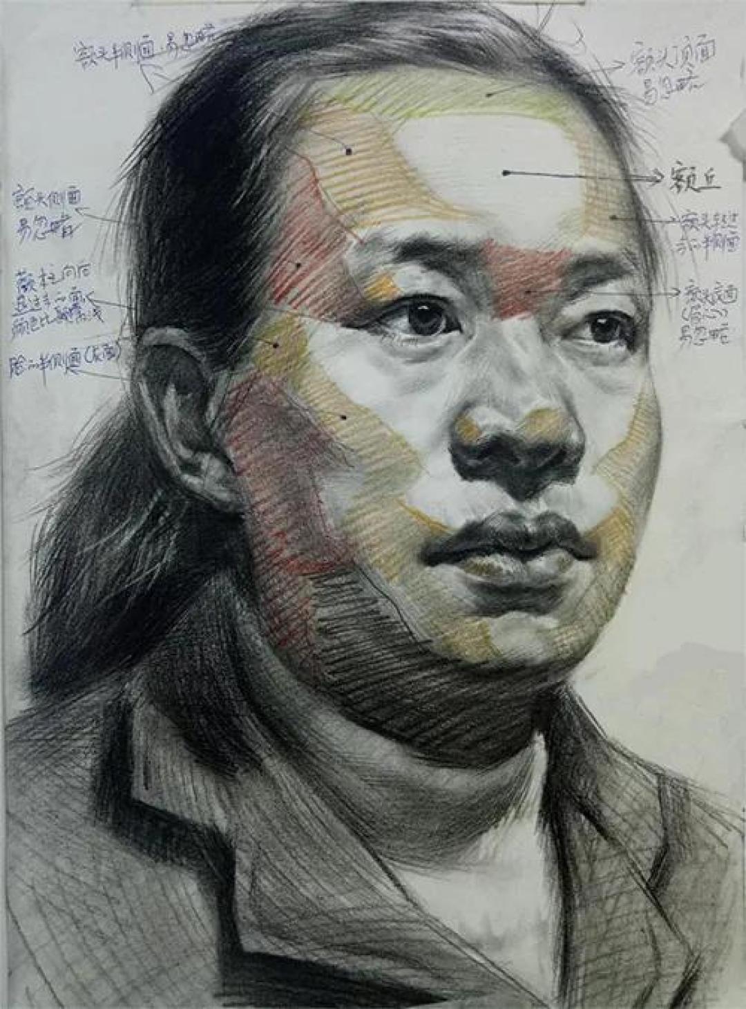零基础上手,全面实用的素描头像绘画教程!