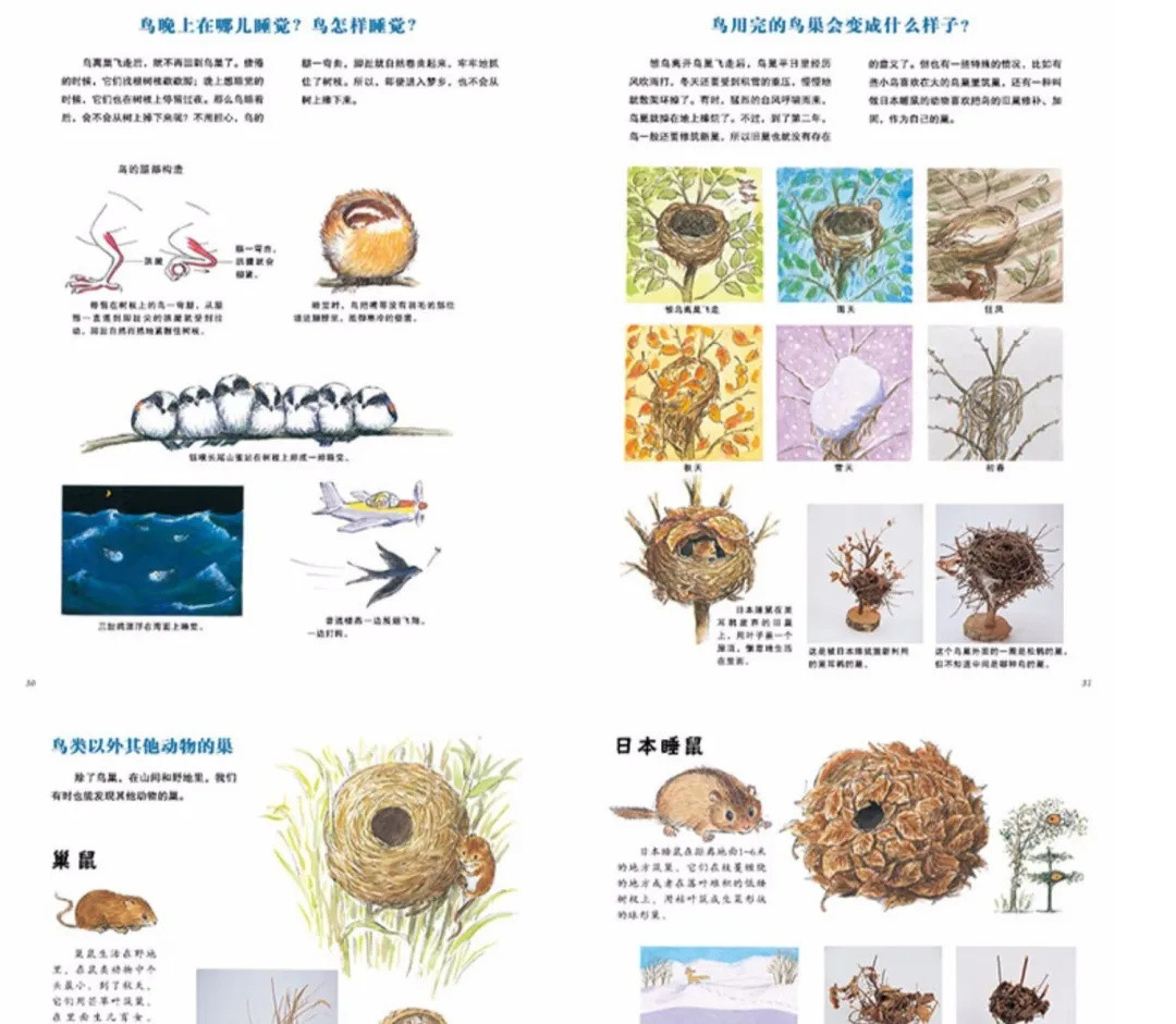 神兽归笼|蒲蒲兰给你的开学季书单