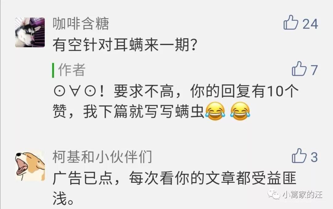 狗螨虫性皮肤病最全指南,听说还有中药的事儿?
