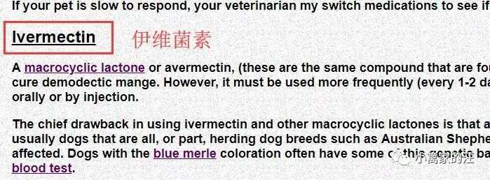 狗螨虫性皮肤病最全指南，听说还有中药的事儿？