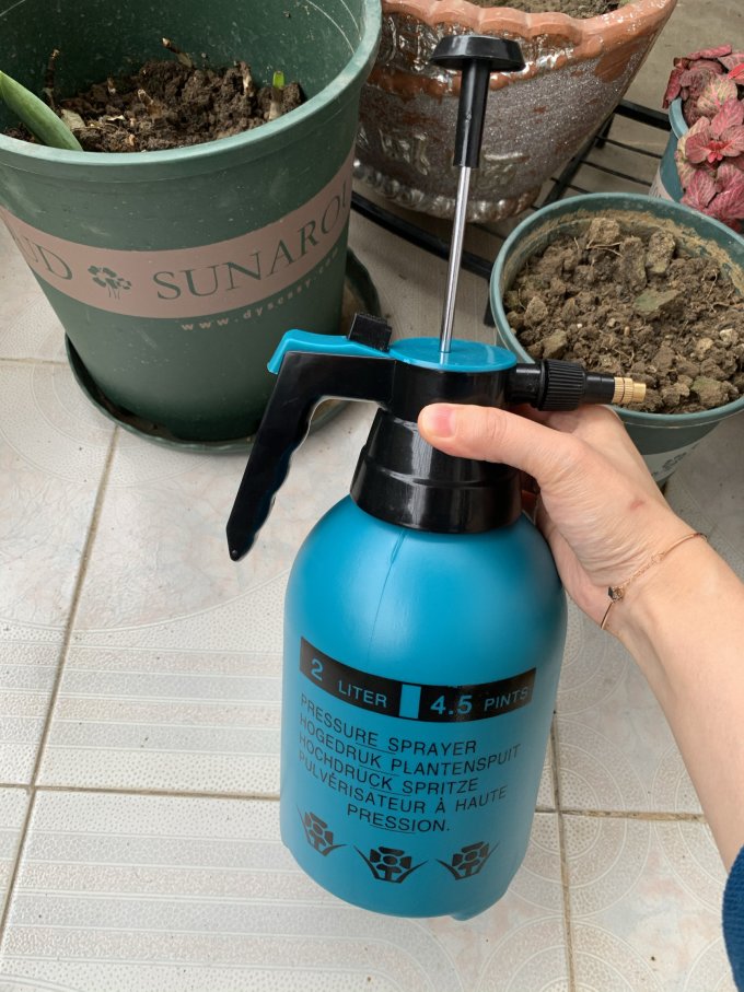 南叶浇水壶
