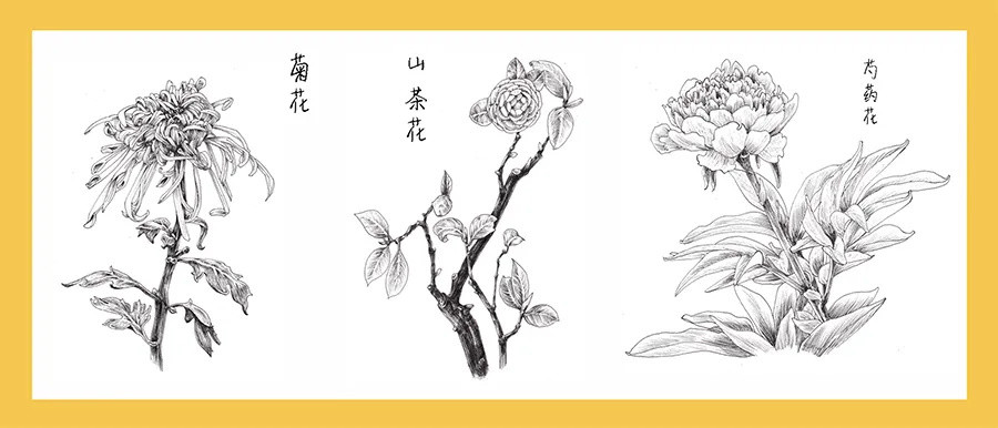 春天了 快来画张简单又好看的花卉线描画 文具用品 什么值得买