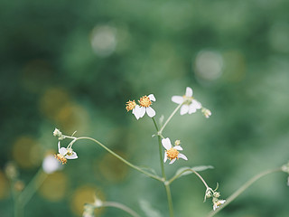 唯卓仕85mm 1.8二代 镜头