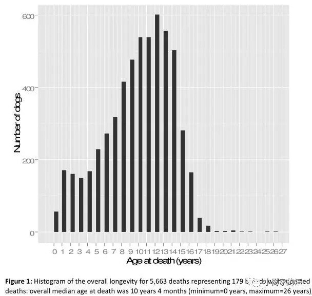 仅十年时间，从11岁到10岁，为啥狗越来越短命？！