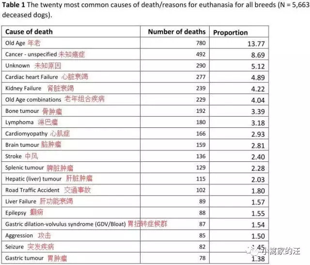 仅十年时间，从11岁到10岁，为啥狗越来越短命？！