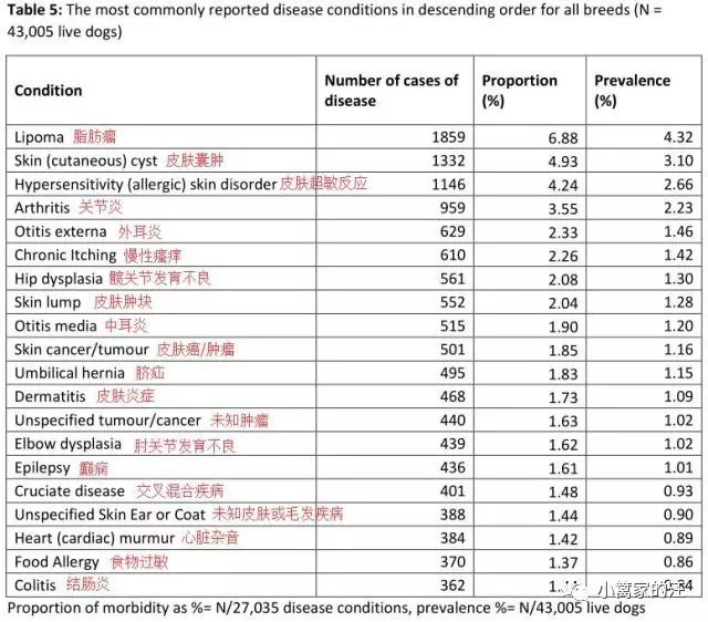 仅十年时间，从11岁到10岁，为啥狗越来越短命？！