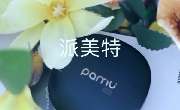派美特真无线降噪蓝牙耳机