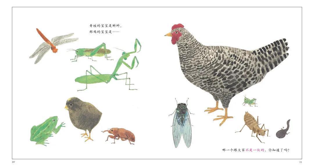 开学季书单之——课外数学启蒙先学什么好