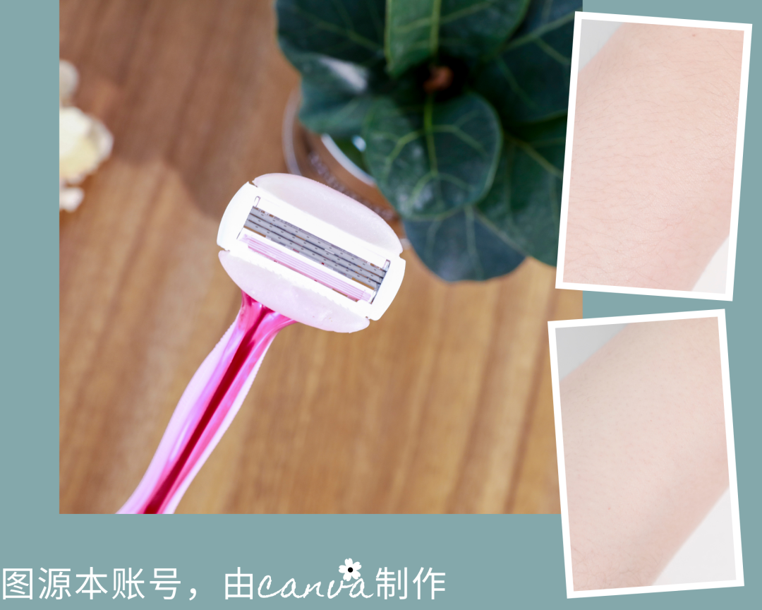 三月四月不脱毛，六七八九十皆是“猕猴桃”，夏季来袭如何蜕变为夏日里光滑白嫩的崽？！