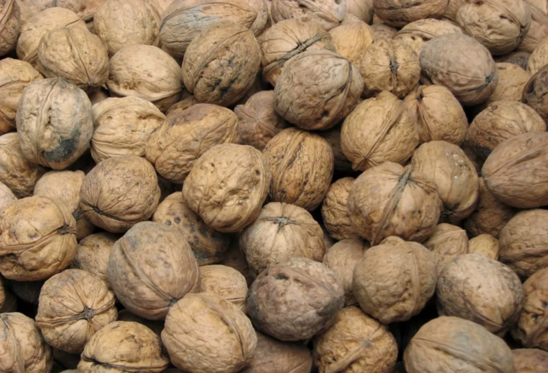 被《风味人间》馋哭?林芝这些美食让我吞了188次口水!
