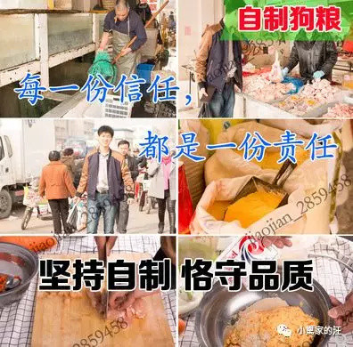 必看!喂狗粮可以,但是必须这么喂!