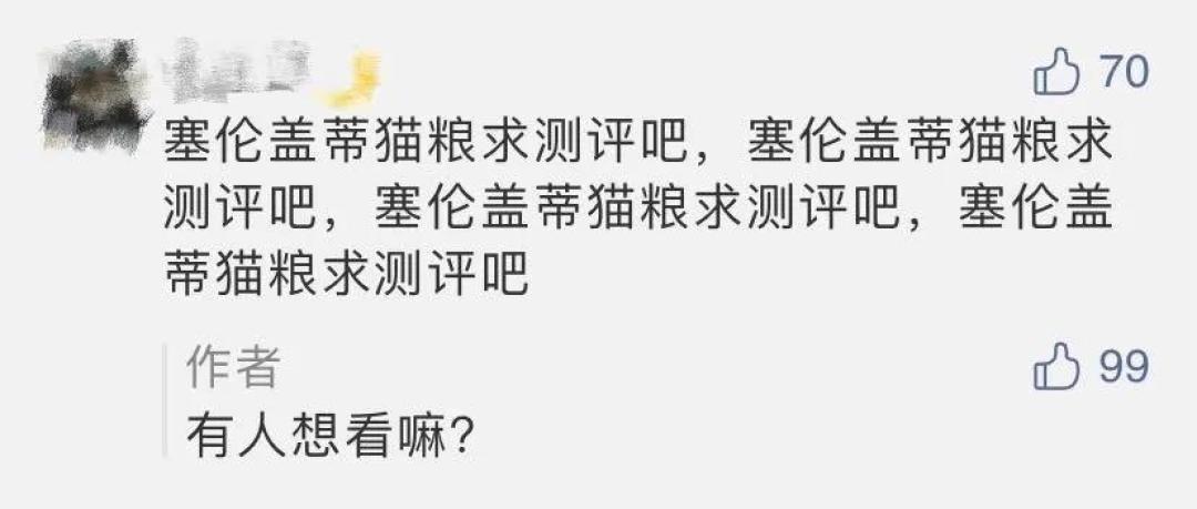 新西兰猫粮家族再添新成员！优质进口粮又多一个选择？