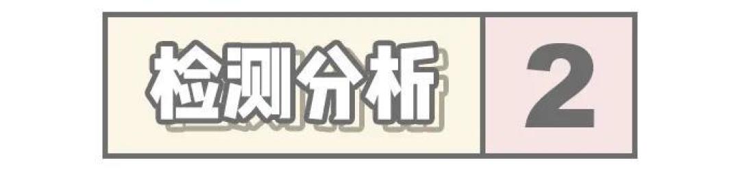 新西兰猫粮家族再添新成员！优质进口粮又多一个选择？