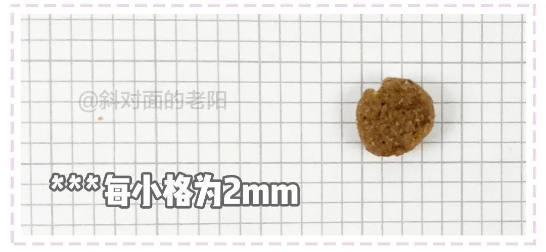 新西兰猫粮家族再添新成员！优质进口粮又多一个选择？