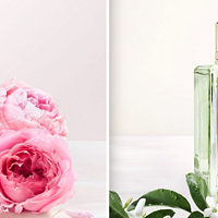 Lancôme兰蔻奢华系列MAISON LANCÔME上新两款花香香水