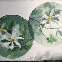 萤火荒原｜给自学水彩的新手朋友一点小建议