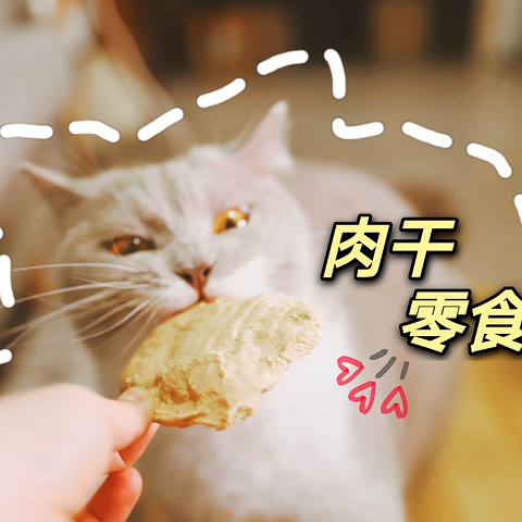 DIY自制猫咪零食，好吃到舔爪：人宠皆可食用