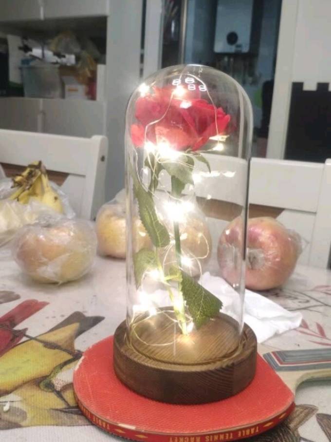 自生草鲜花绿植