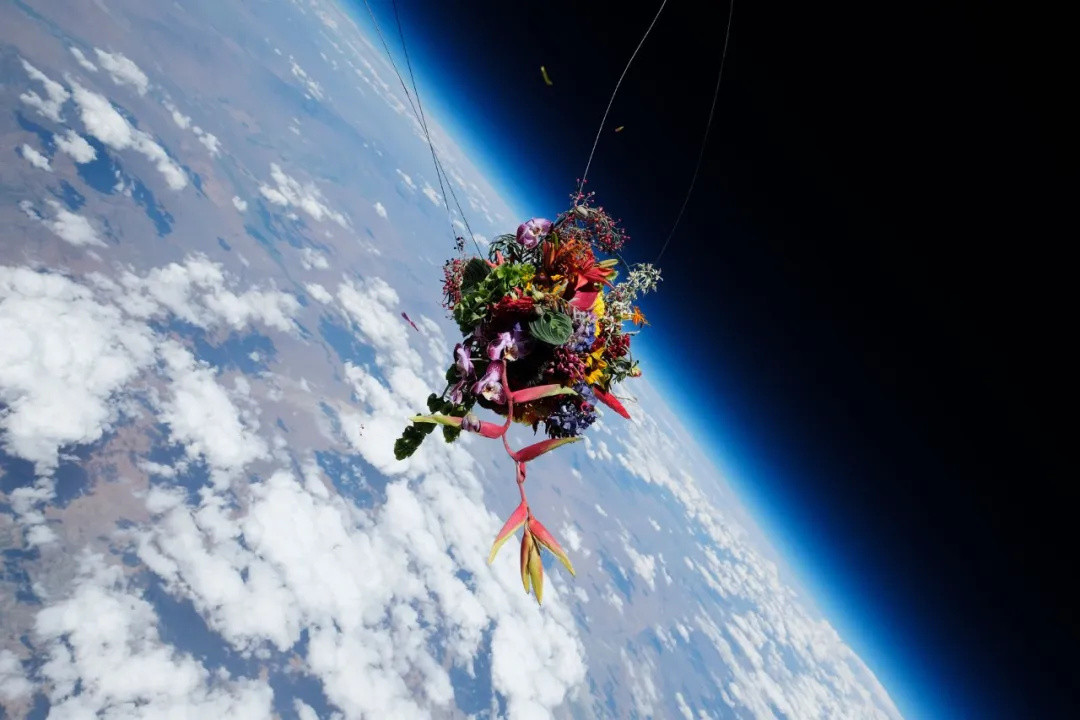 把鲜花送上太空、沉入深海！