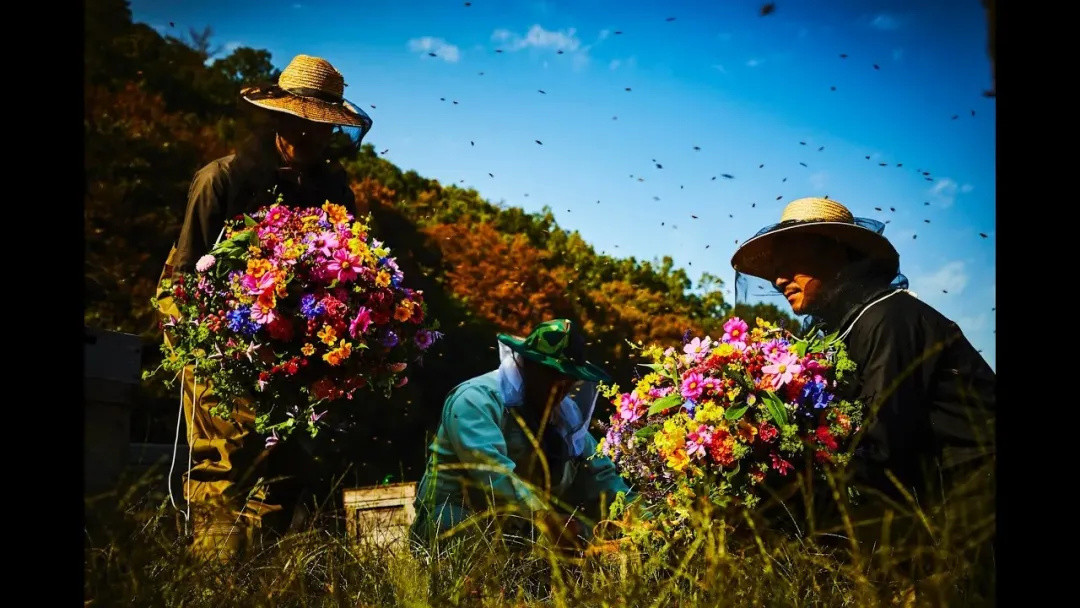 把鲜花送上太空、沉入深海！