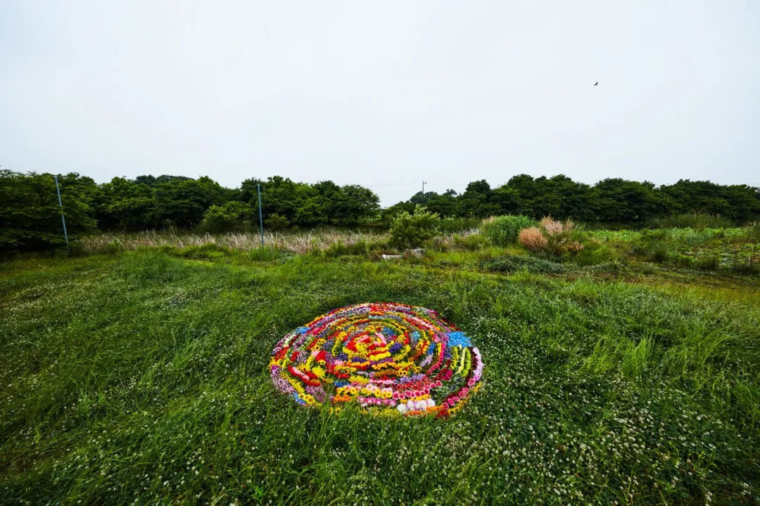 把鲜花送上太空、沉入深海！