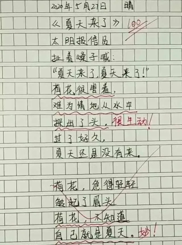 承包全年笑点的小学生神作文，笑着笑着却看哭了