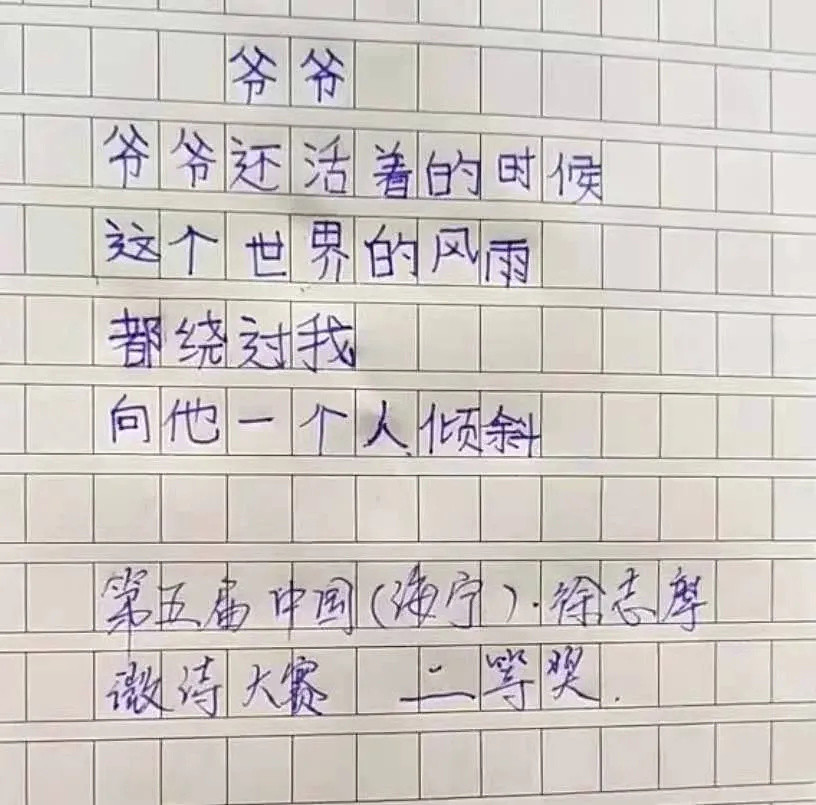 承包全年笑点的小学生神作文，笑着笑着却看哭了