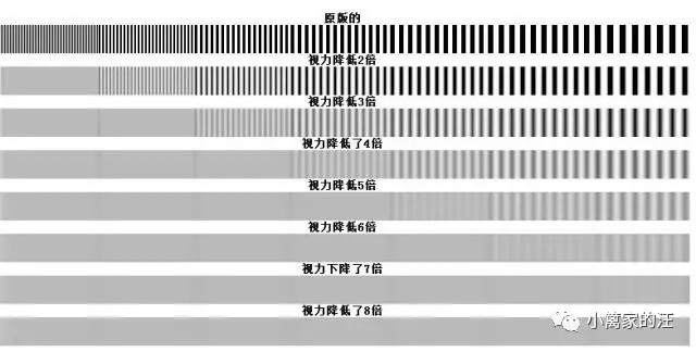 狗狗是色盲吗?狗狗眼中的世界......好心疼