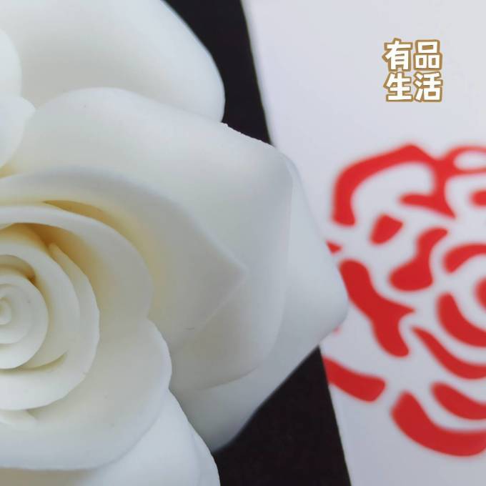 哲选永生花