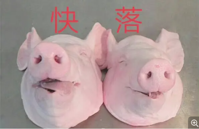 在BOSS直聘，有多少留学生想去养猪？