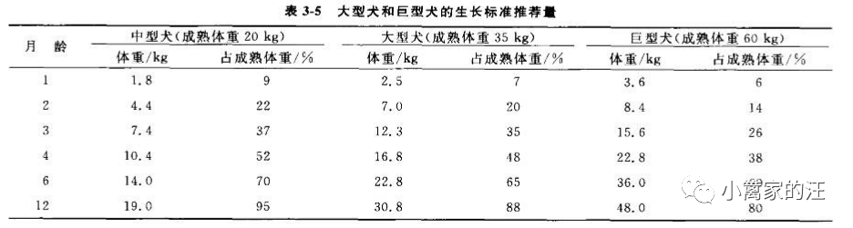 幼犬营养需求特点及熟自制建议