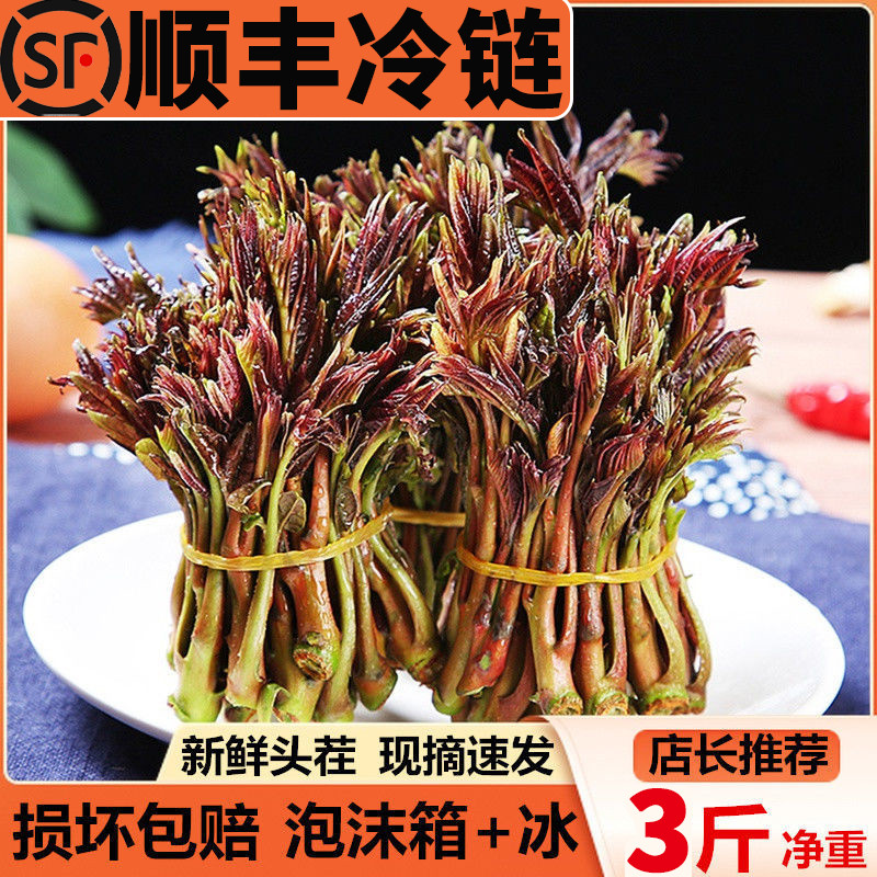 香椿炒鸡蛋只需这一种调料,酱香浓郁简单快手,佐粥拌面两相宜!