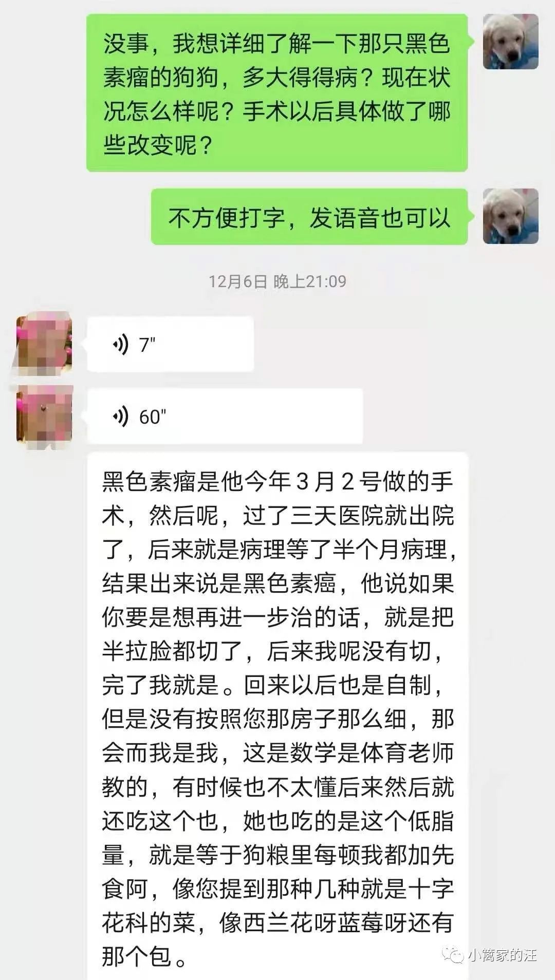 不就狗粮加点新鲜果蔬嘛，能有毛用？