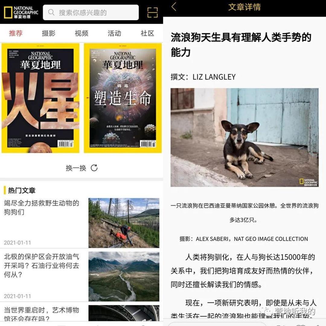 十个一直不舍得卸载的自学神器,实打实的好用又好玩,揣在兜里随时就能玩