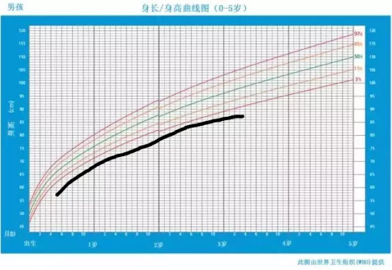 怎样让孩子长得更高？遗传的决定性有多大？后天努力能改变多少