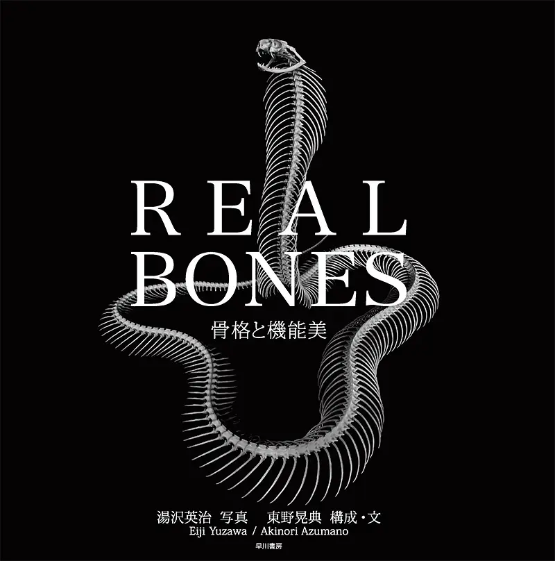 群星璀璨的艺术世界,这份书单带你通关!