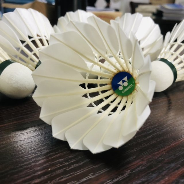 心血来潮，睡前发一贴堪比最贵羽毛球，猜猜多少钱！