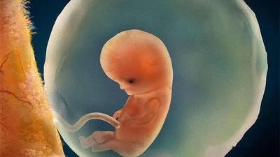 备孕和不备孕，生出来的宝宝差别居然这么大！