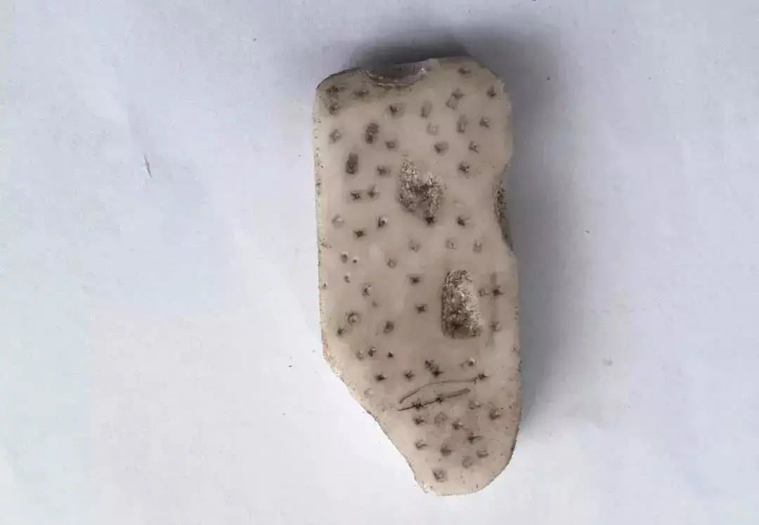 想知道孩子在校表现怎么样?不用问老师,翻翻作业本就能知道!