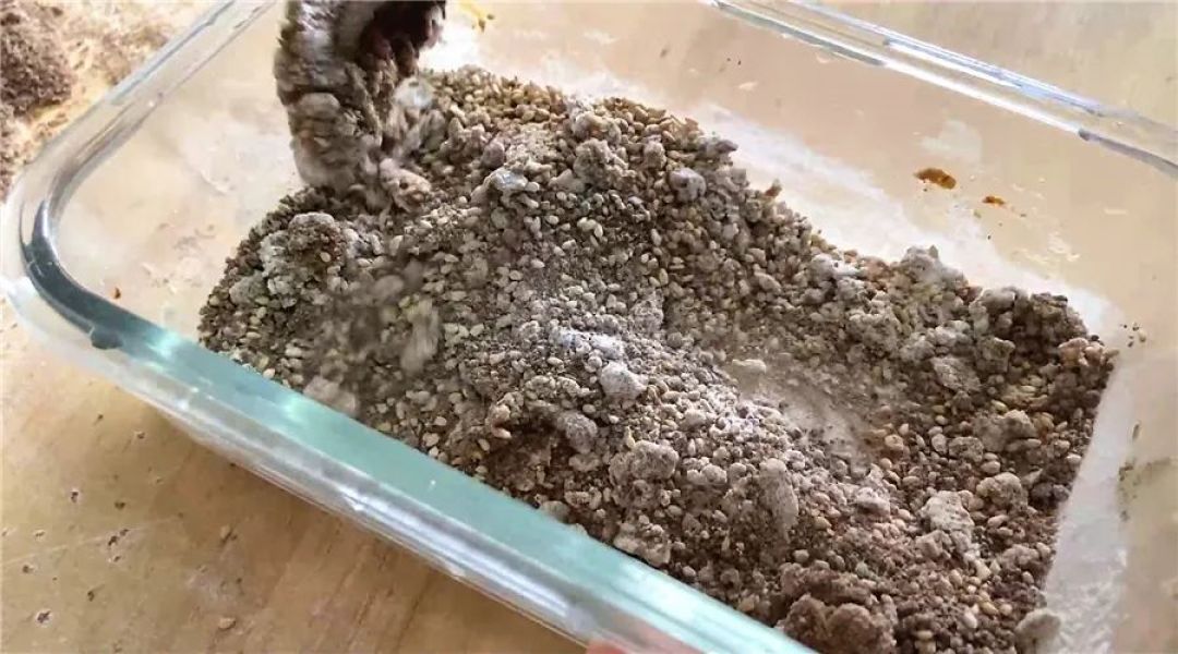 学会这个发面法,你也可以秒变面食达人!